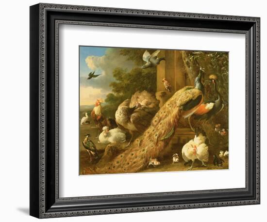 Peacock, Parakeet, Pelican, Crane and Poultry-Melchior de Hondecoeter-Framed Giclee Print