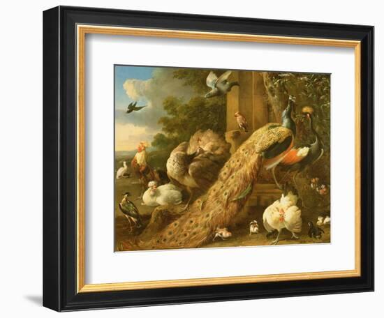 Peacock, Parakeet, Pelican, Crane and Poultry-Melchior de Hondecoeter-Framed Giclee Print