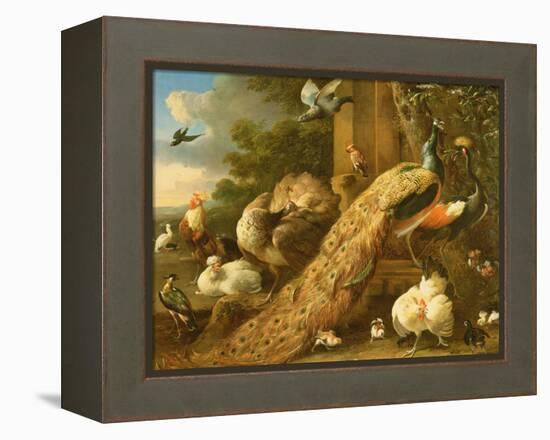 Peacock, Parakeet, Pelican, Crane and Poultry-Melchior de Hondecoeter-Framed Premier Image Canvas