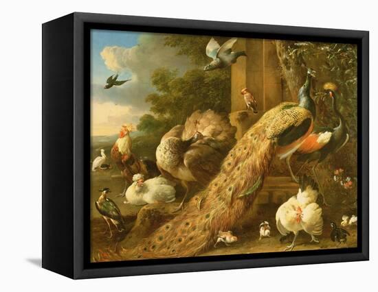 Peacock, Parakeet, Pelican, Crane and Poultry-Melchior de Hondecoeter-Framed Premier Image Canvas