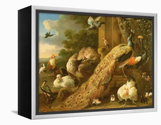 Peacock, Parakeet, Pelican, Crane and Poultry-Melchior de Hondecoeter-Framed Premier Image Canvas