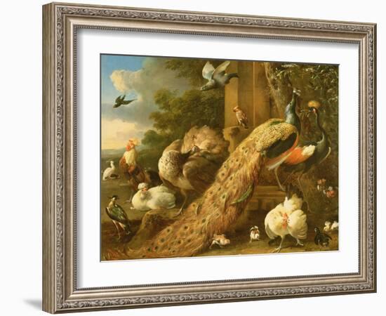 Peacock, Parakeet, Pelican, Crane and Poultry-Melchior de Hondecoeter-Framed Giclee Print