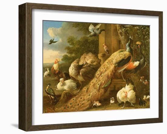 Peacock, Parakeet, Pelican, Crane and Poultry-Melchior de Hondecoeter-Framed Giclee Print