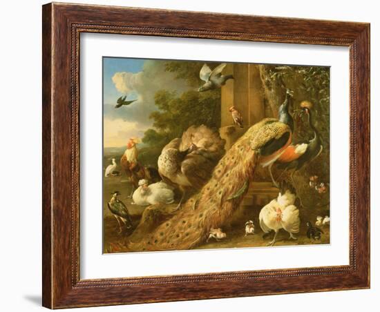 Peacock, Parakeet, Pelican, Crane and Poultry-Melchior de Hondecoeter-Framed Giclee Print