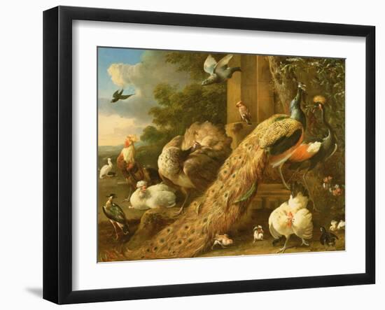 Peacock, Parakeet, Pelican, Crane and Poultry-Melchior de Hondecoeter-Framed Giclee Print