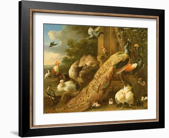 Peacock, Parakeet, Pelican, Crane and Poultry-Melchior de Hondecoeter-Framed Giclee Print