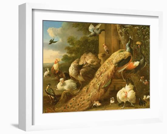 Peacock, Parakeet, Pelican, Crane and Poultry-Melchior de Hondecoeter-Framed Giclee Print