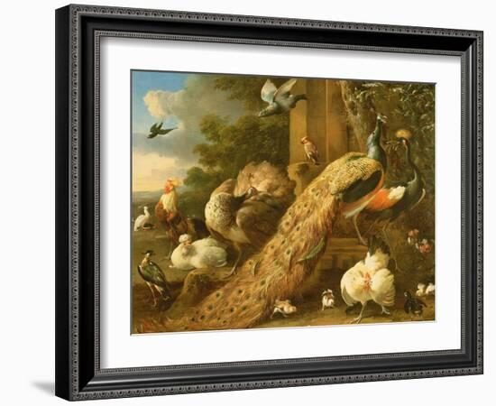 Peacock, Parakeet, Pelican, Crane and Poultry-Melchior de Hondecoeter-Framed Giclee Print