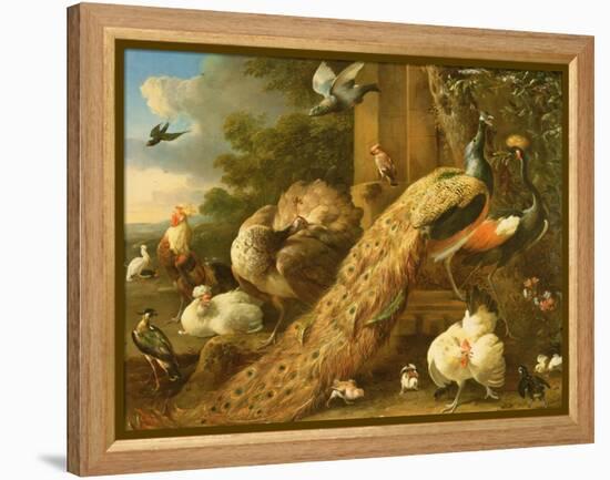 Peacock, Parakeet, Pelican, Crane and Poultry-Melchior de Hondecoeter-Framed Premier Image Canvas