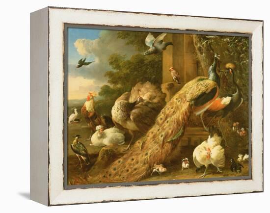 Peacock, Parakeet, Pelican, Crane and Poultry-Melchior de Hondecoeter-Framed Premier Image Canvas