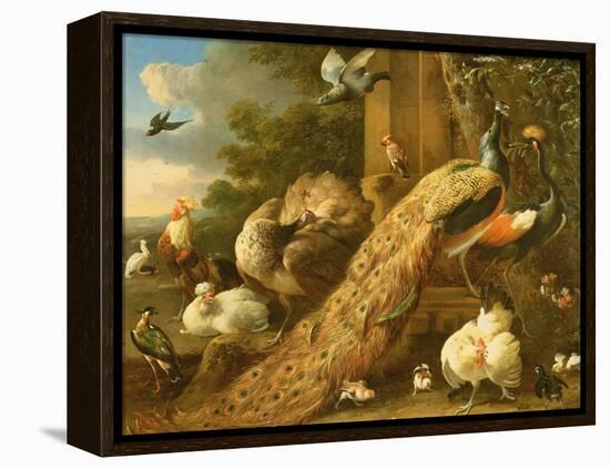 Peacock, Parakeet, Pelican, Crane and Poultry-Melchior de Hondecoeter-Framed Premier Image Canvas