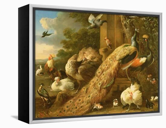 Peacock, Parakeet, Pelican, Crane and Poultry-Melchior de Hondecoeter-Framed Premier Image Canvas