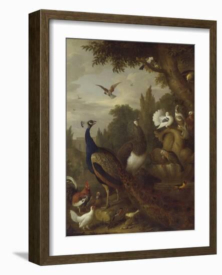 Peacock, Peahen, Parrots, Canary, and Other Birds in a Park, C.1708-10-Jakob Bogdani-Framed Giclee Print