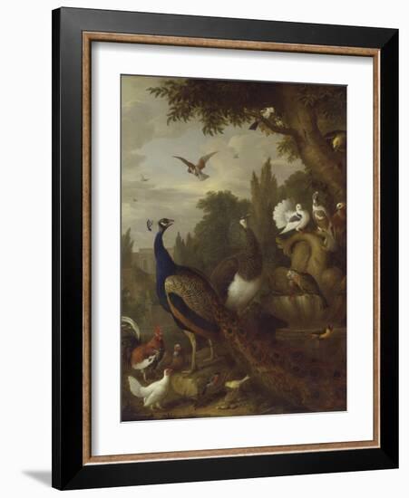 Peacock, Peahen, Parrots, Canary, and Other Birds in a Park, C.1708-10-Jakob Bogdani-Framed Giclee Print