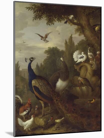 Peacock, Peahen, Parrots, Canary, and Other Birds in a Park, C.1708-10-Jakob Bogdani-Mounted Giclee Print