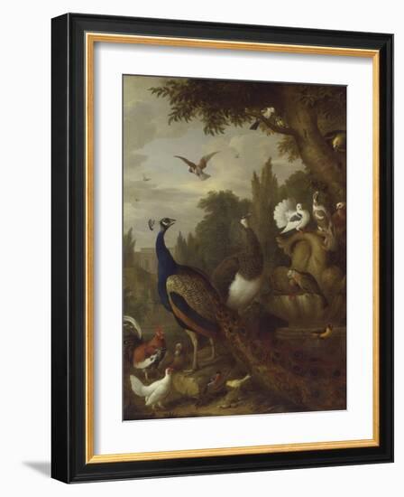 Peacock, Peahen, Parrots, Canary, and Other Birds in a Park, C.1708-10-Jakob Bogdani-Framed Giclee Print