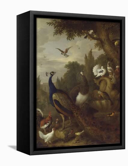 Peacock, Peahen, Parrots, Canary, and Other Birds in a Park, C.1708-10-Jakob Bogdani-Framed Premier Image Canvas