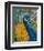 Peacock Plumage-null-Framed Art Print