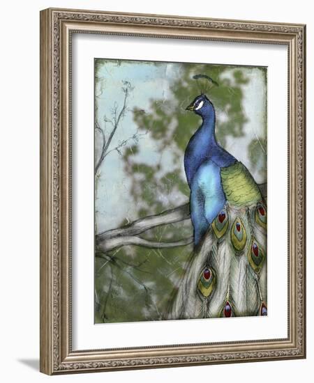 Peacock Reflections I-Jennifer Goldberger-Framed Art Print