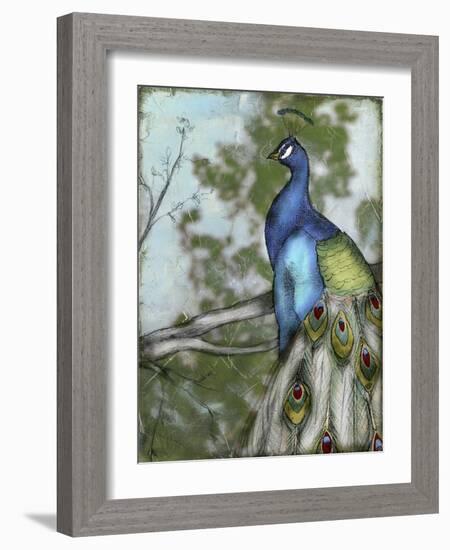 Peacock Reflections I-Jennifer Goldberger-Framed Art Print