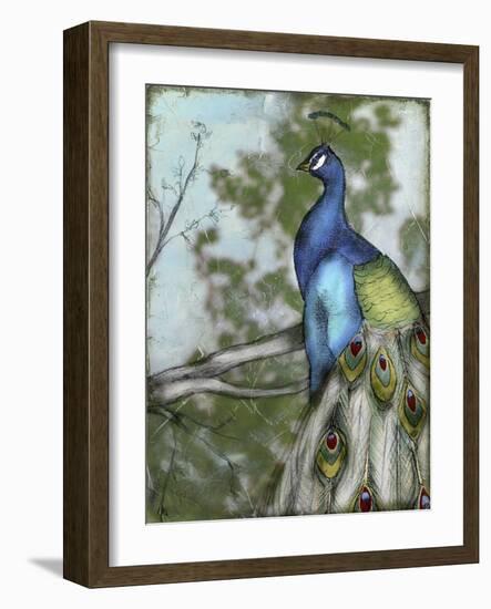 Peacock Reflections I-Jennifer Goldberger-Framed Art Print