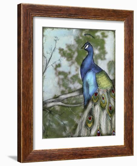 Peacock Reflections I-Jennifer Goldberger-Framed Art Print