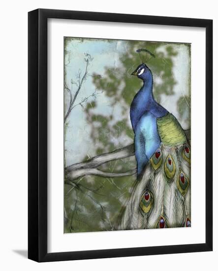 Peacock Reflections I-Jennifer Goldberger-Framed Art Print