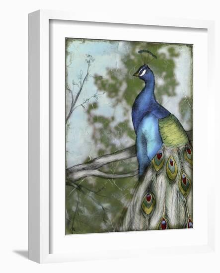 Peacock Reflections I-Jennifer Goldberger-Framed Art Print