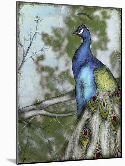 Peacock Reflections I-Jennifer Goldberger-Mounted Art Print