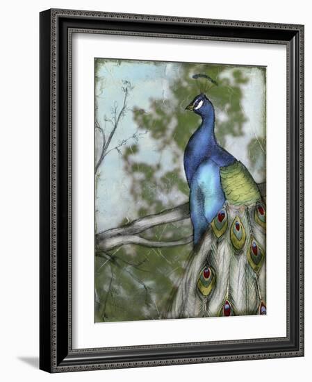 Peacock Reflections I-Jennifer Goldberger-Framed Art Print