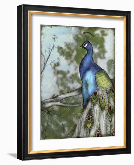 Peacock Reflections I-Jennifer Goldberger-Framed Art Print