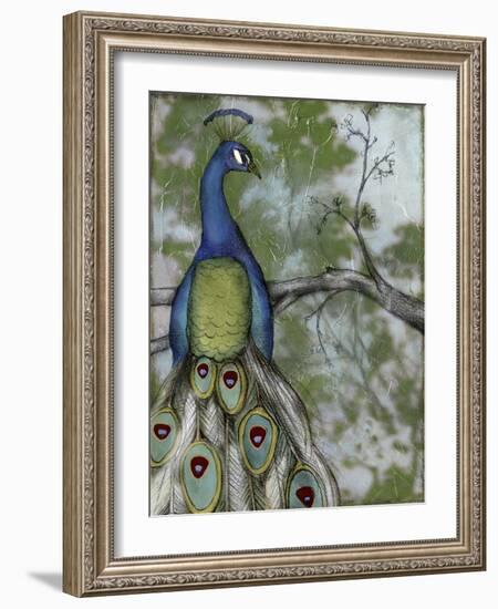 Peacock Reflections II-Jennifer Goldberger-Framed Art Print