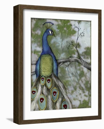 Peacock Reflections II-Jennifer Goldberger-Framed Art Print