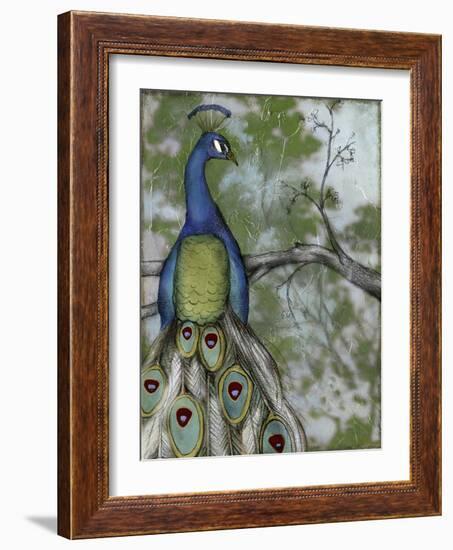 Peacock Reflections II-Jennifer Goldberger-Framed Art Print