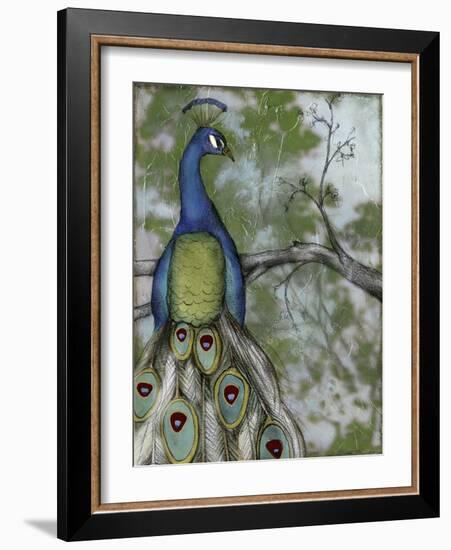 Peacock Reflections II-Jennifer Goldberger-Framed Art Print