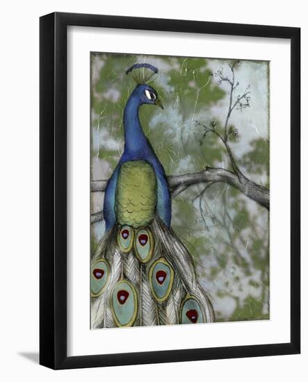 Peacock Reflections II-Jennifer Goldberger-Framed Art Print