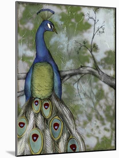 Peacock Reflections II-Jennifer Goldberger-Mounted Art Print