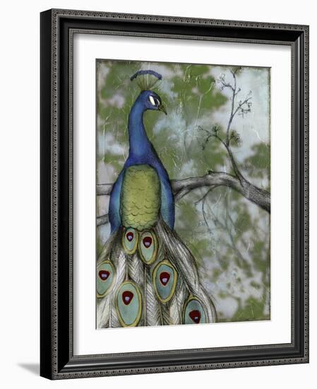 Peacock Reflections II-Jennifer Goldberger-Framed Art Print