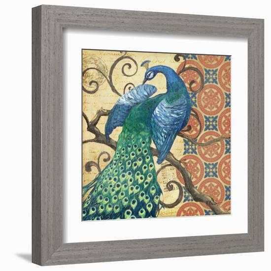 Peacock's Splendor II-Paul Brent-Framed Art Print