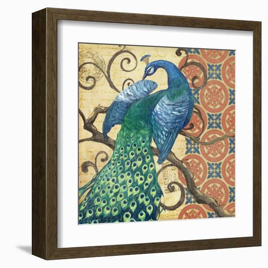 Peacock's Splendor II-Paul Brent-Framed Art Print