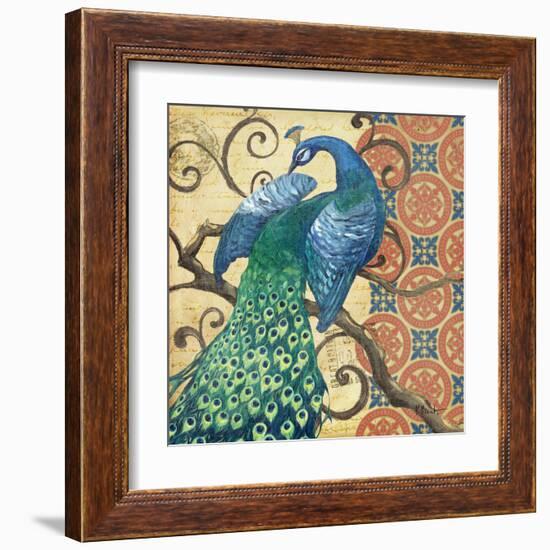 Peacock's Splendor II-Paul Brent-Framed Art Print