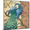 Peacock's Splendor II-Paul Brent-Mounted Art Print