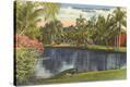 Stretched Canvas Print