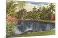 Premium Giclee Print