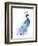 Peacock Splash I-Jennifer Goldberger-Framed Art Print