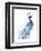 Peacock Splash I-Jennifer Goldberger-Framed Art Print