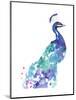 Peacock Splash I-Jennifer Goldberger-Mounted Art Print