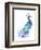 Peacock Splash I-Jennifer Goldberger-Framed Art Print