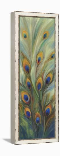 Peacock Tale-Sloane Addison  -Framed Stretched Canvas