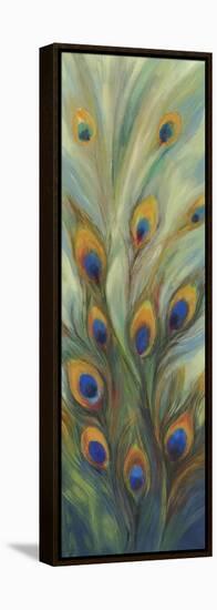 Peacock Tale-Sloane Addison  -Framed Stretched Canvas